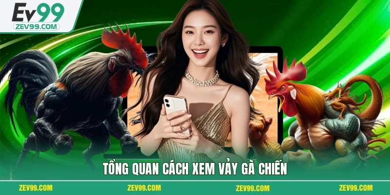 Tổng quan cách xem vảy gà chiến